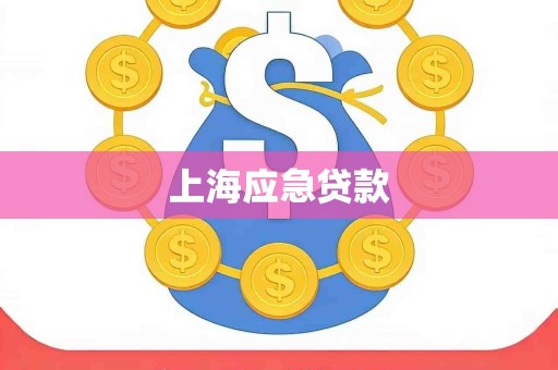上海应急贷款