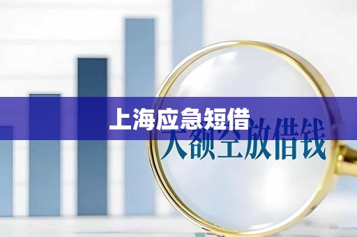 上海应急短借