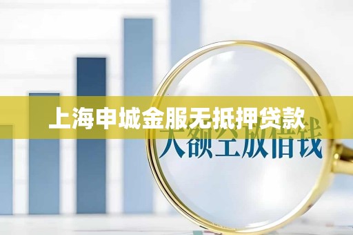 上海申城金服无抵押贷款