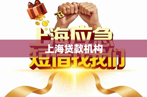 上海贷款机构